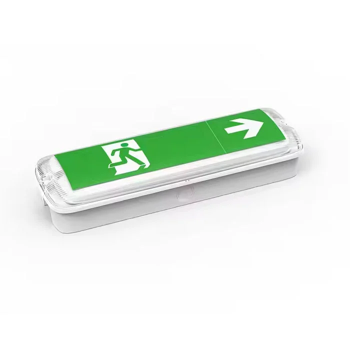 Perindustrian Sendiri LED Kecemasan Kecemasan